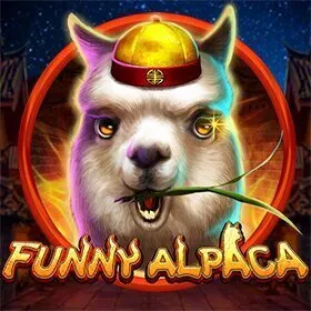 Funny Alpaca