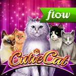 Cutie Cat